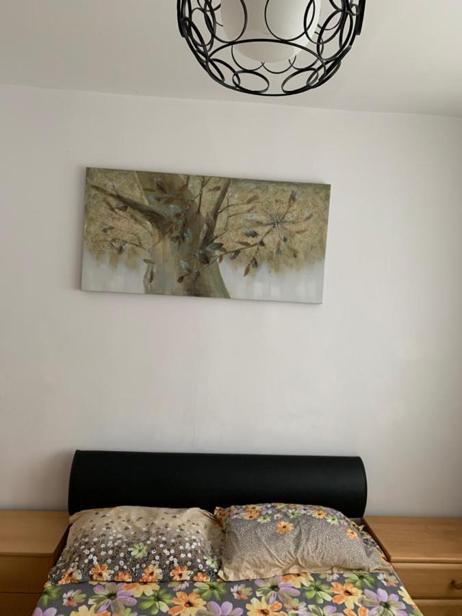 אלבה לוליה Apartament Carolina Parc מראה חיצוני תמונה